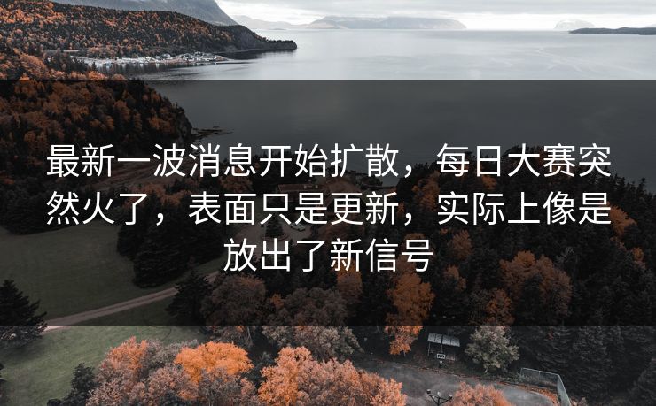 最新一波消息开始扩散，每日大赛突然火了，表面只是更新，实际上像是放出了新信号