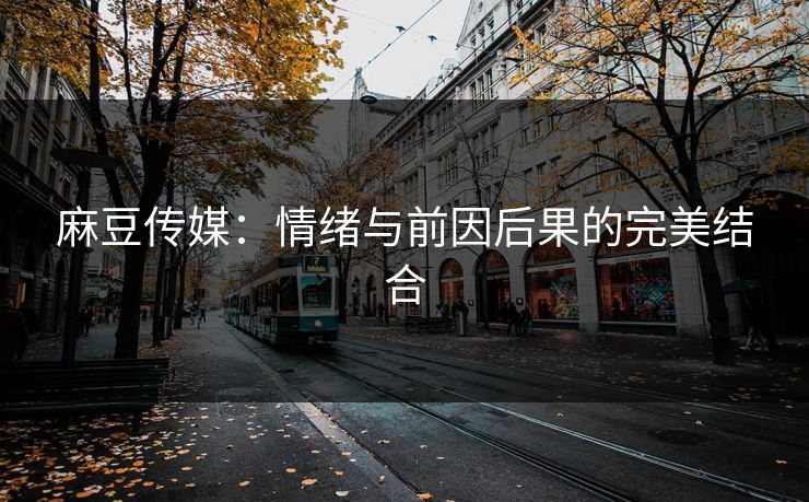 麻豆传媒：情绪与前因后果的完美结合